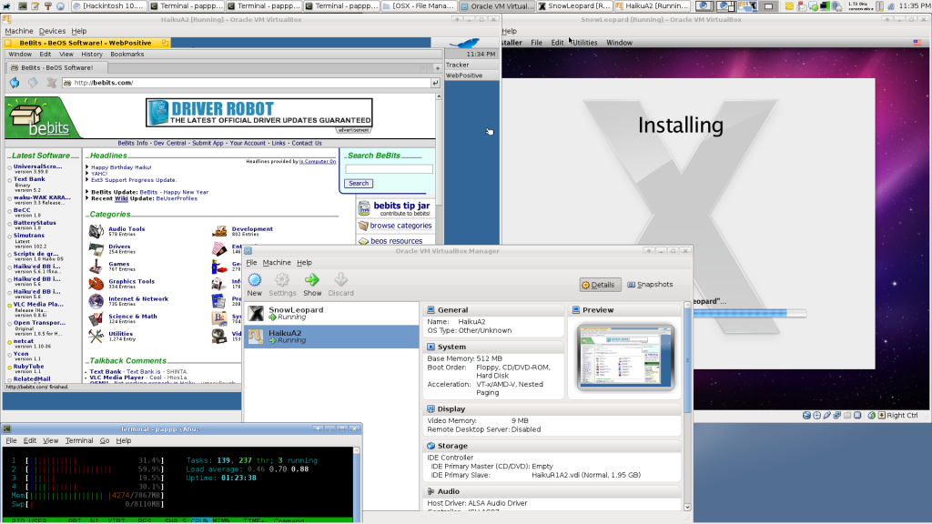 Virtualbox on Arch, running HaikuA1 and a Snow Leopard installer